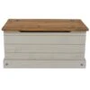 Core Corona Grey Storage Trunk